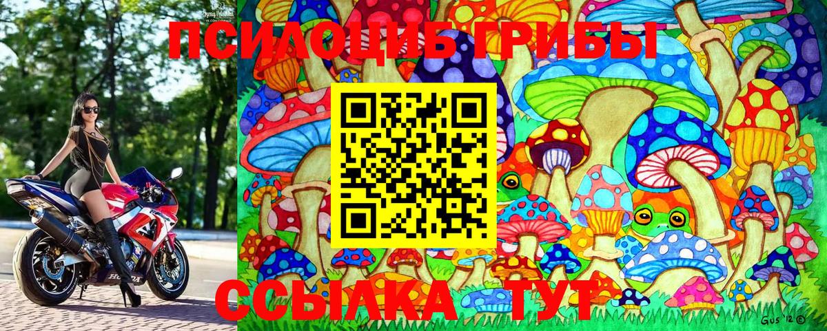 Псилоцибиновые грибы Cubensis  Вход с VPN  Саранск 