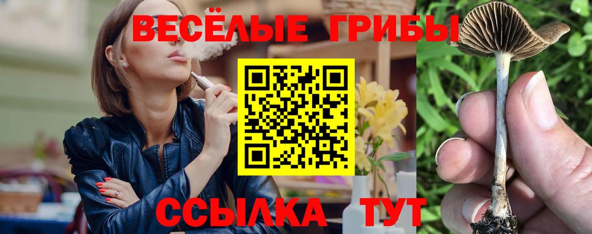 Псилоцибиновые грибы Magic Shrooms Саранск